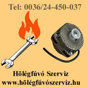www.hőlégfúvószerviz.hu hőlégfúvó javítás, holegfuvo felujitas,holegbefuvok atalakitasa,