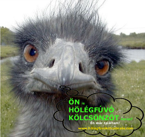 Tovább a hőlégfúvó kölcsönzés weboldalra. hőlégfúvókölcsönzés.com