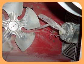 HŐLÉGFÚVÓ SZERVIZ TERASZFŰTŐ SZERVIZ  Bármilyen típusú MOBIL HŐLÉGFÚVÓ és TERASZFŰTŐ javítása! Akár 24 órán belül is! 0036-24-450037